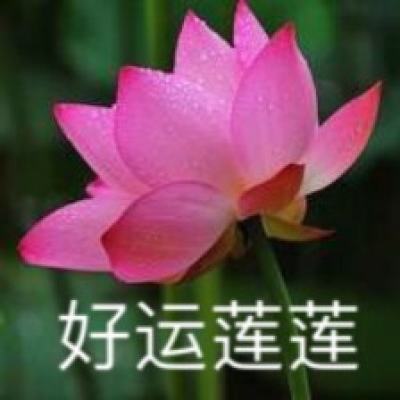 郑钦文战胜大坂直美 晋级WTA罗马站八强
